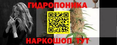 СК Анапа