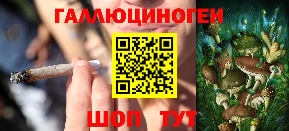 Псилоцибиновые грибы GOLDEN TEACHER  Псилоцибиновые грибы Cubensis  Вход с VPN  Фурманов 