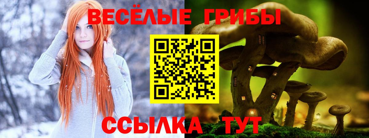 Галлюциногенные грибы Psilocybine cubensis Фурманов